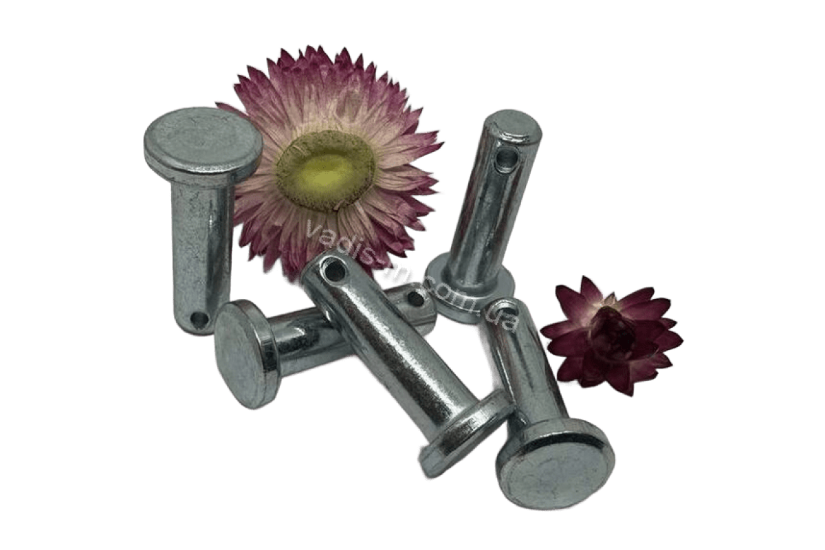 DIN 1434 B цинк Штифт цилиндрический