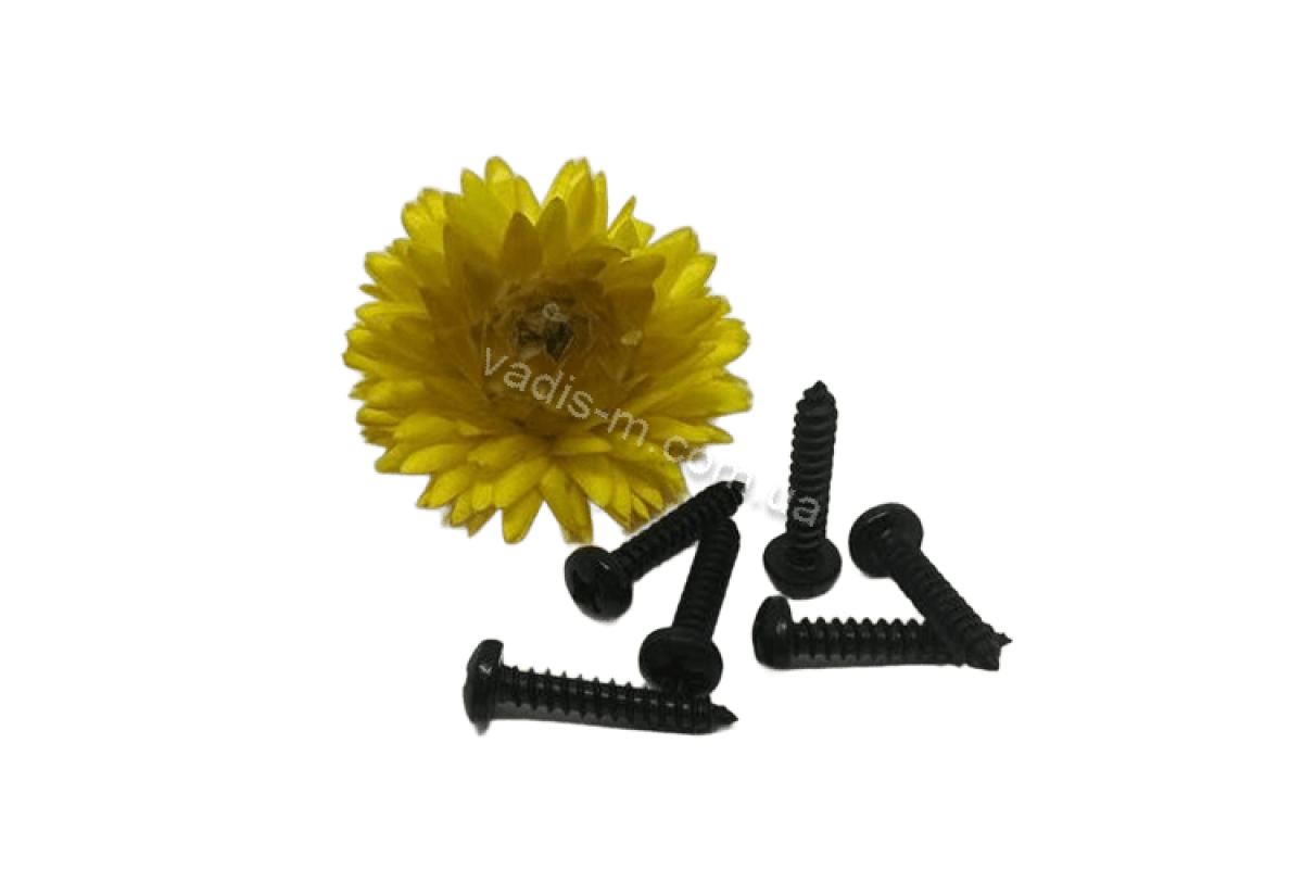 DIN 7981-C цинк чорний Саморіз з напівкруглою головкою torx