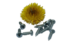 ISO 14585-C A2 Саморіз з напівкруглою головкою під torx