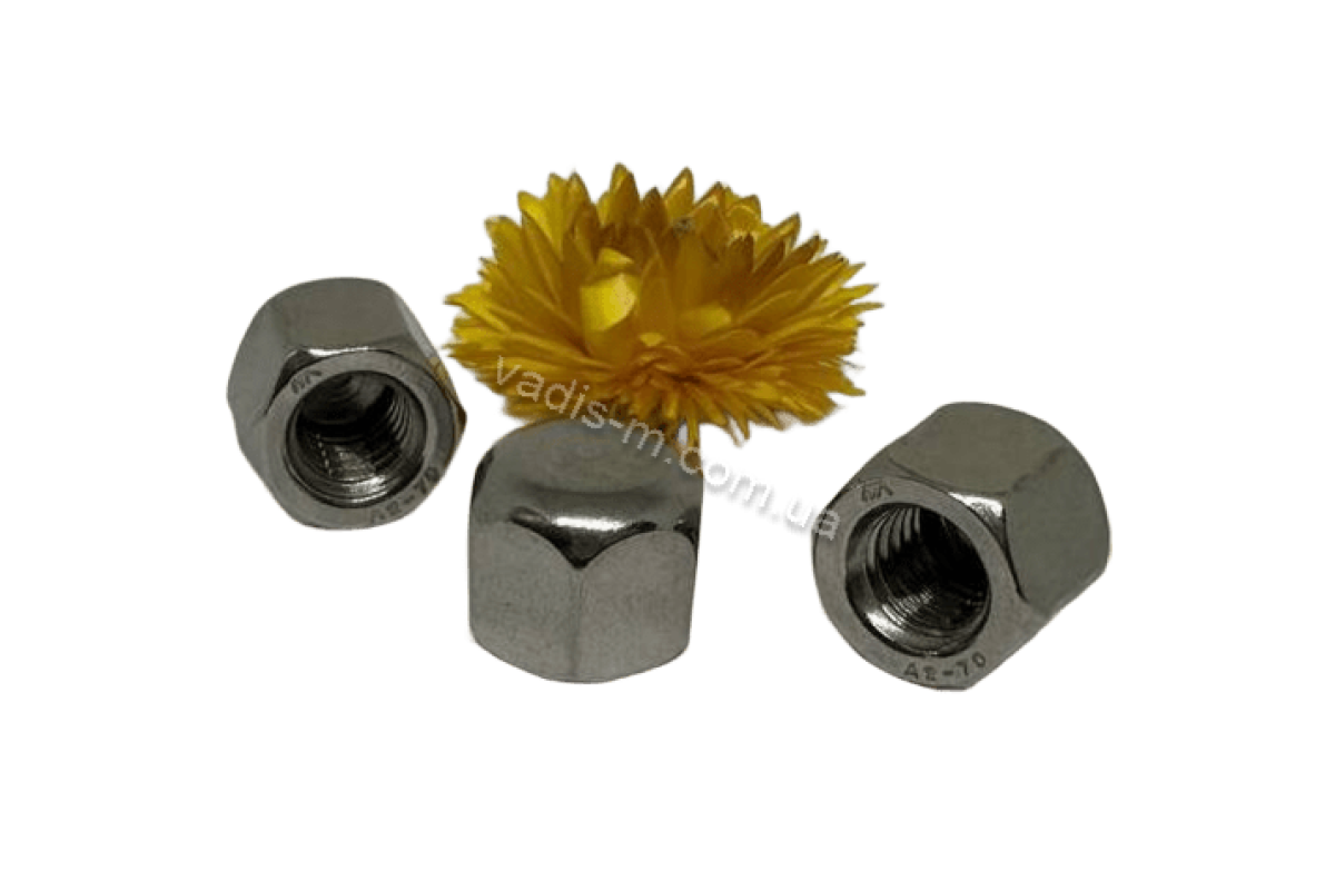 DIN 917 A4 Гайка ковпачкова