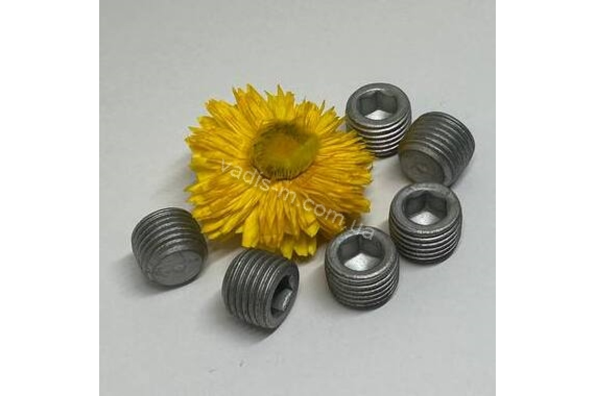 DIN 906 цинк платковий Заглушка різьбова з дюймовою різьбою