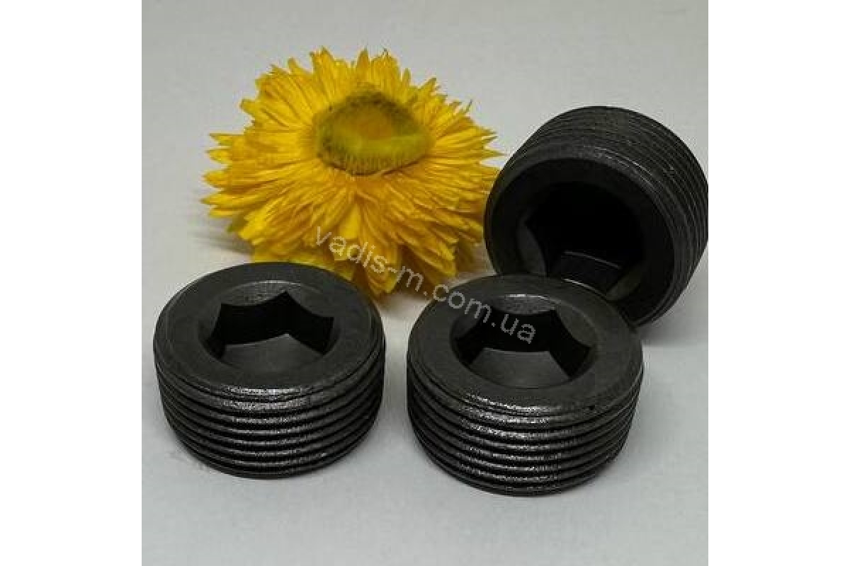 DIN 906 Заглушка різьбова з дюймовою різьбою