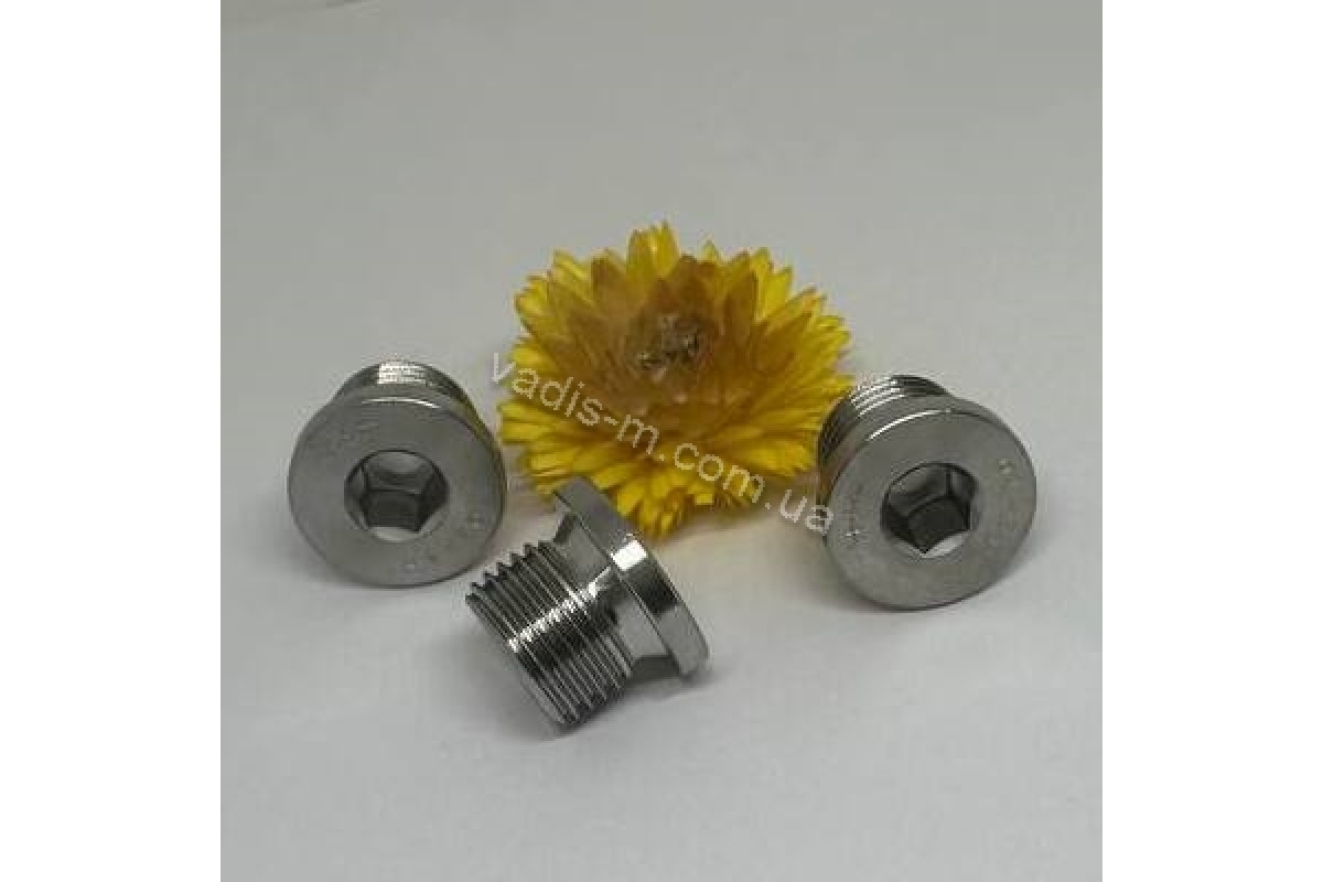 DIN 908 A4 Заглушка резьбовая цилиндрическая с дюймовой резьбой