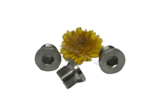 DIN 908 A4 Заглушка різьбова циліндрична з дюймовою різьбою