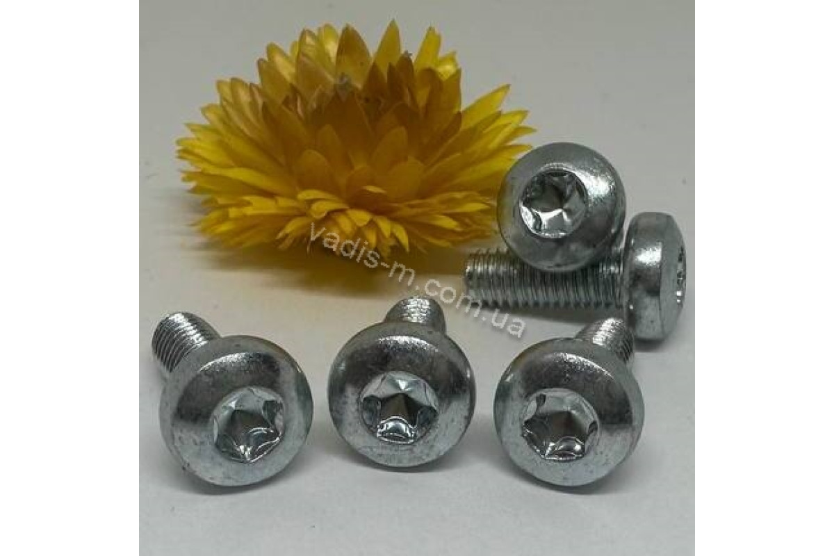 DIN 7500 C цинк Гвинт з напівкруглою головкою під torx