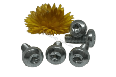 DIN 7985 4,8 цинк Гвинт з напівкруглою головкою torx