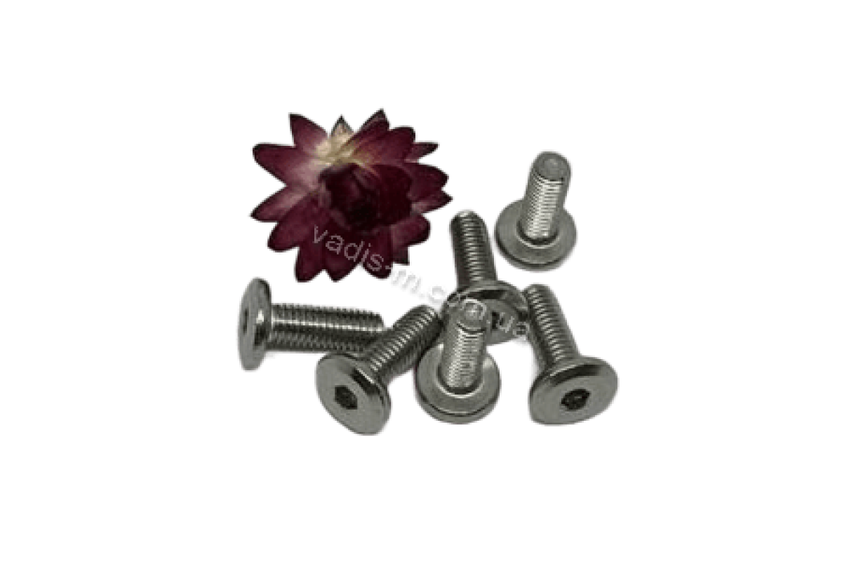 Винт мебельный HS(M4/M5) BF-15 DIN 7420 головка плоская большая внутренний шестигранник