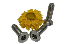 ISO 14581 8,8 цинк Болт з потайною головкою під torx