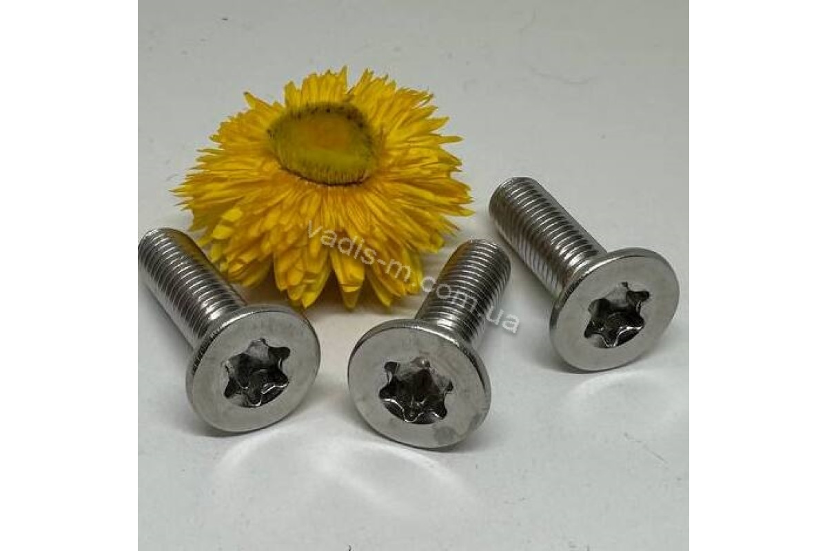 ISO 14581 A2 Болт с потайной головкой под torx