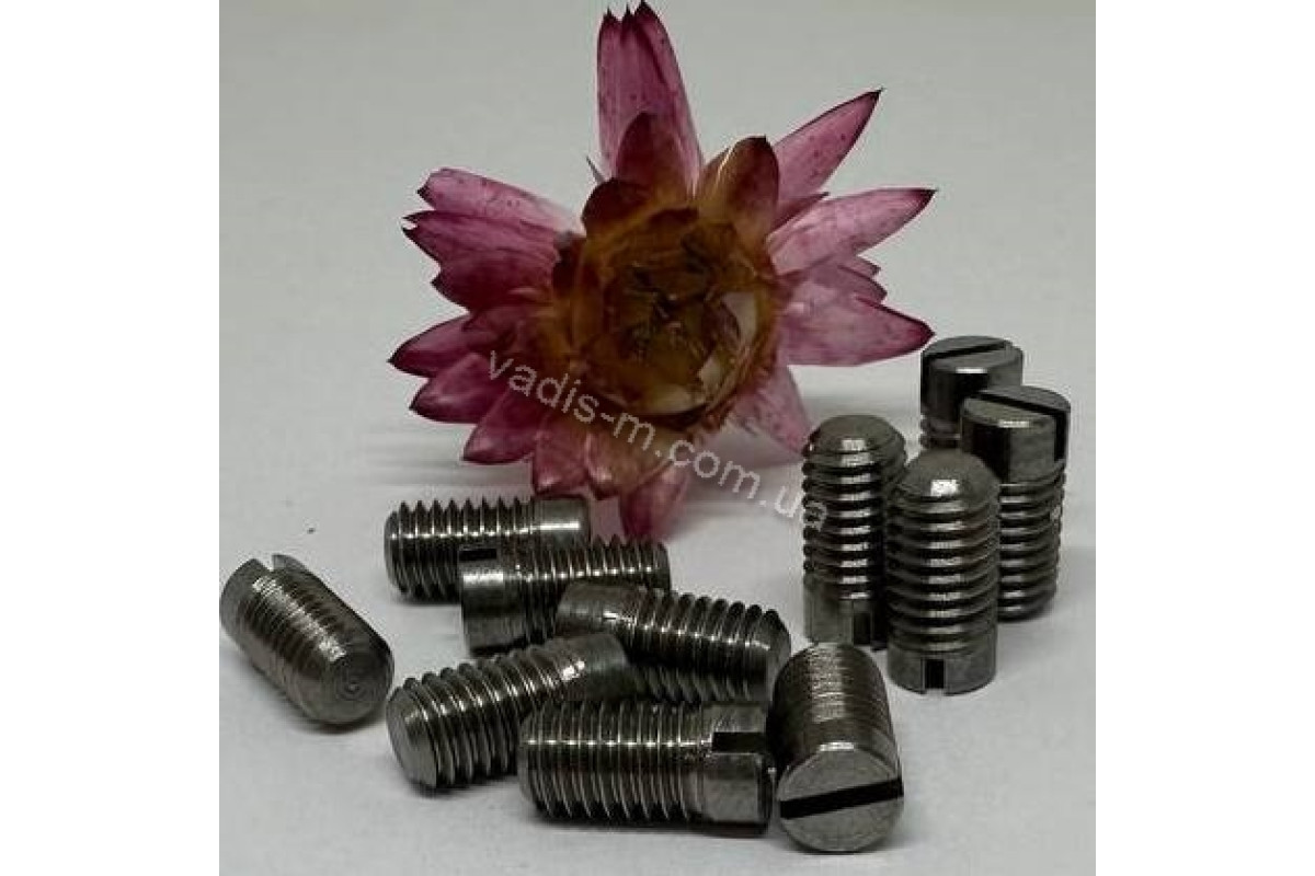 DIN 427 без покриття Гвинт установочний з прямим шліцом 14H