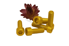 DIN 912 8,8 цинк жовтий Болт з циліндричною головкою і внутрішнім шестигранником