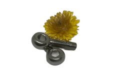 DIN 444 B A2 Болт відкидний