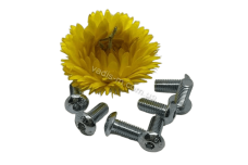 ISO 7380-1 10,9 цинк Болт з напівкруглою головкою під torx