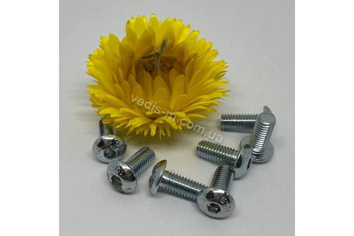 ISO 7380-1 10,9 цинк Болт з напівкруглою головкою під torx