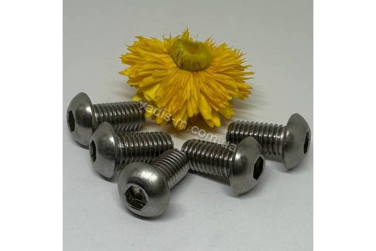 ISO 7380-1 A4 Болт з напівкруглою головкою під torx