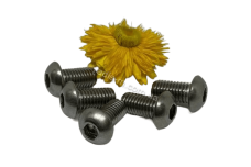 ISO 7380-1 A4 Болт з напівкруглою головкою під torx